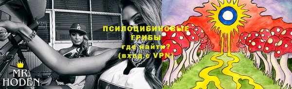 PSILOCYBIN Кодинск