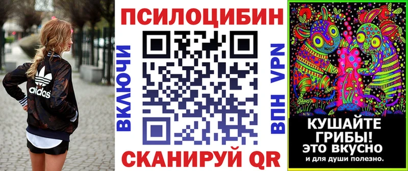 Галлюциногенные грибы Cubensis  Лениногорск 